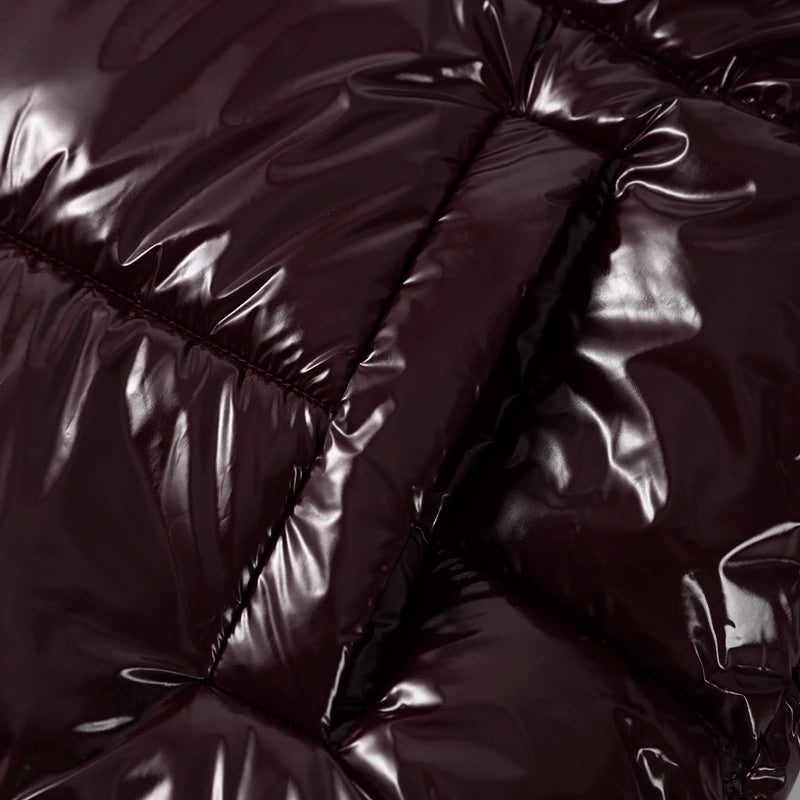 Solid Glossy Zipper Hooded Coats Women's Warm Elastic Waist Pleated Short Cotton Jacket 2025 Winter New Lady High Street Outwear