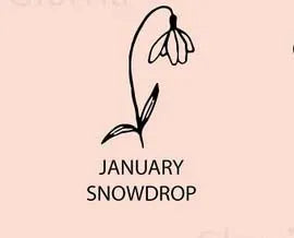 Custom Name Flower Necklace with Birthstone Pendant Necklace for Women Personalized Stainless Steel Jewelry Choker Birthday Gift