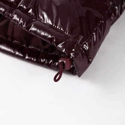 Solid Glossy Zipper Hooded Coats Women's Warm Elastic Waist Pleated Short Cotton Jacket 2025 Winter New Lady High Street Outwear